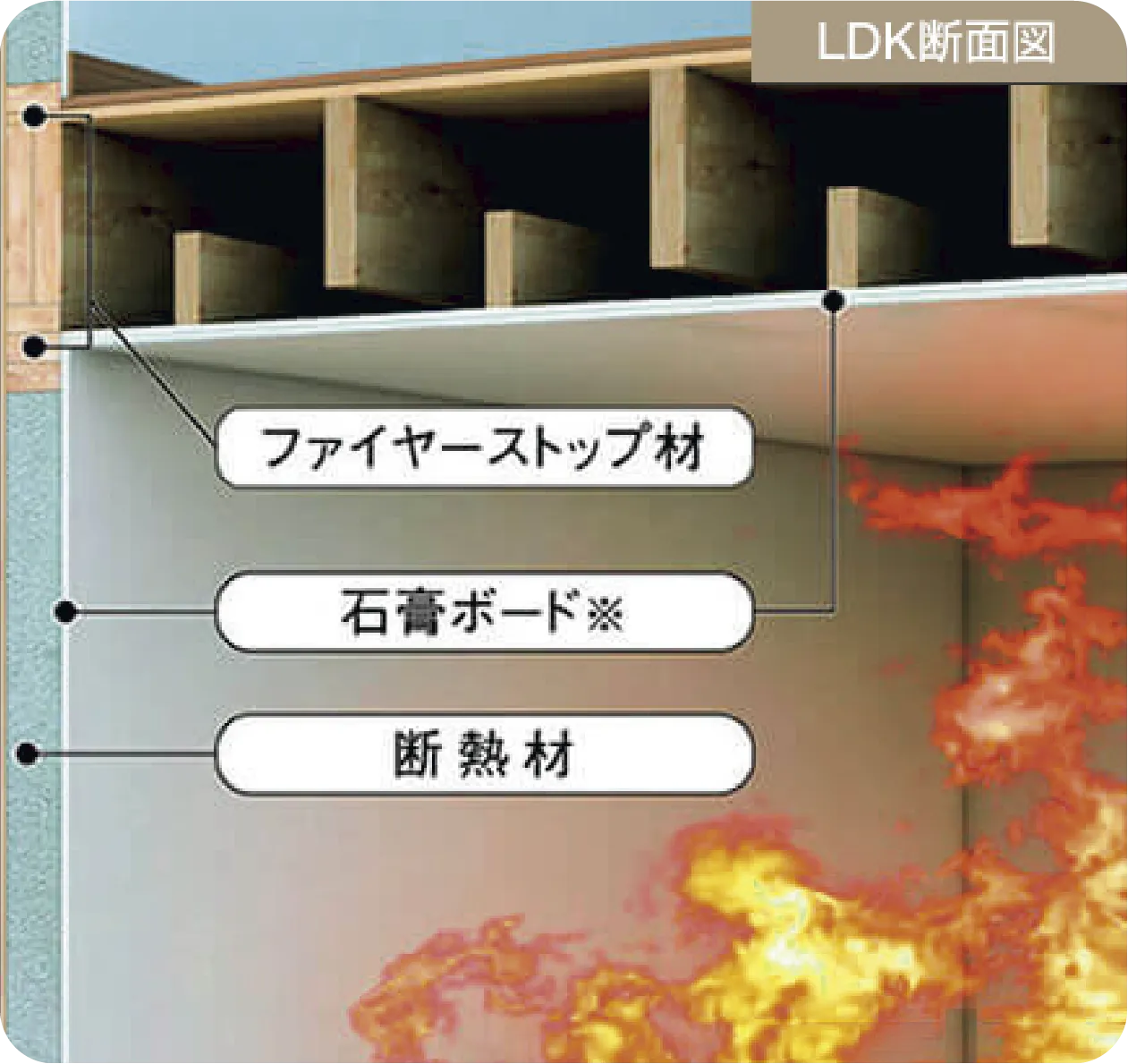 LDK断面図